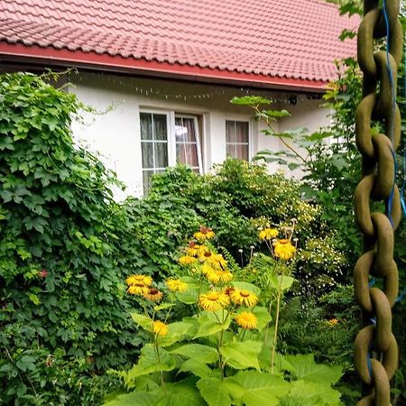 Bialy Dom Aparthotel Ściegny Exteriör bild
