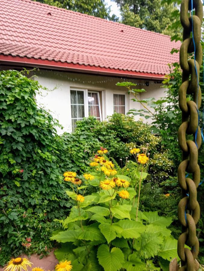 Bialy Dom Aparthotel Ściegny Exteriör bild